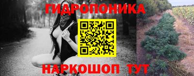 PSILOCYBIN Канаш