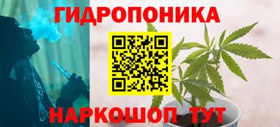 PSILOCYBIN Канаш