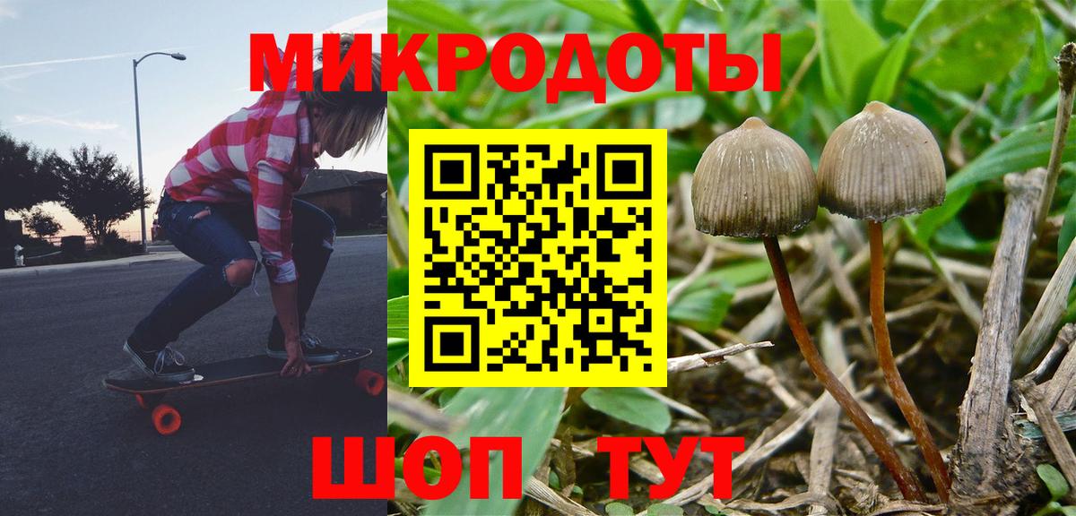 Куйбышев  Псилоцибиновые грибы ЛСД  Вход с VPN  Галлюциногенные грибы прущие грибы 